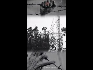 Тело Генриха Гиммлера. Рейхсфюрер СС совершил самоубийство 23 мая..1