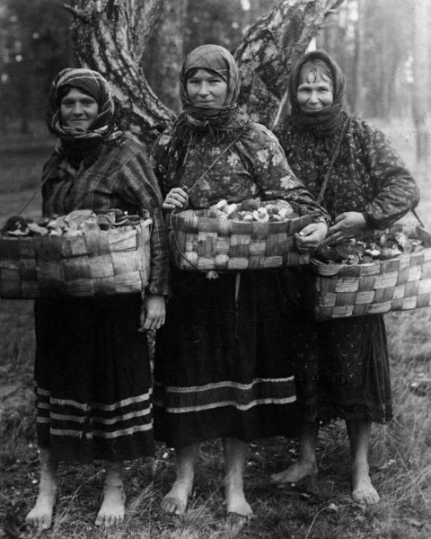 Женщины Волынского Полесья с урожаем грибов  .Российская..0
