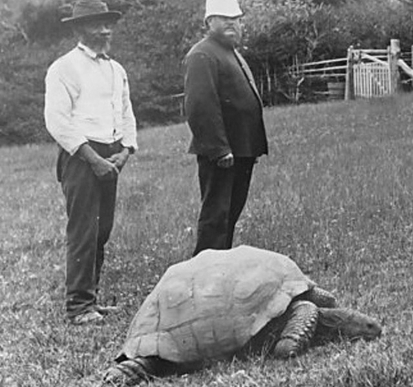 Этот пожилой джентльмен пережил многое в своей жизни. Он видел 7..1