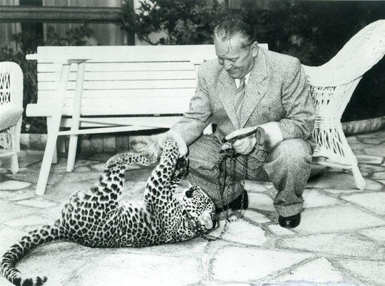 Лидер Югославии Иосип Броз Тито играет с домашним леопардом в 1956..0