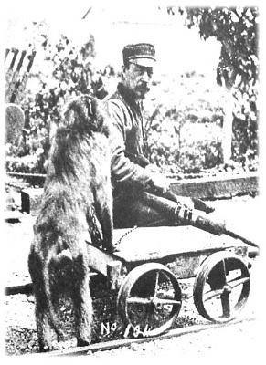 В 1877 году работник железной дороги в Кейптауне (ЮАР) Джеймс Вайд..0