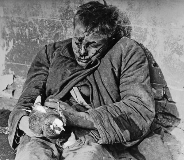 В 1941 году Витя Черевичкин, мальчик из Ростова-на-Дону, был..0