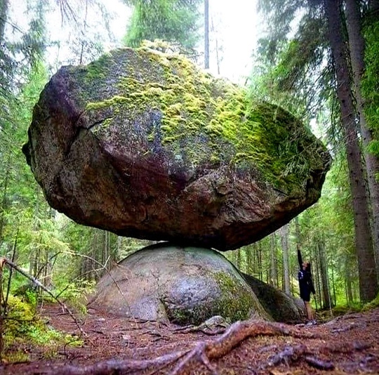 В лесах Финляндии находится невероятное чудо природы, известное..0