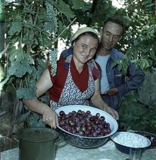 Рустави, Грузинская ССР, июль 1957..0