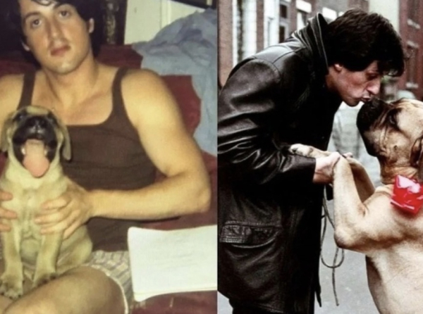 В 1971 году, когда Сильвестру Сталлоне было 26 лет, он столкнулся с..1