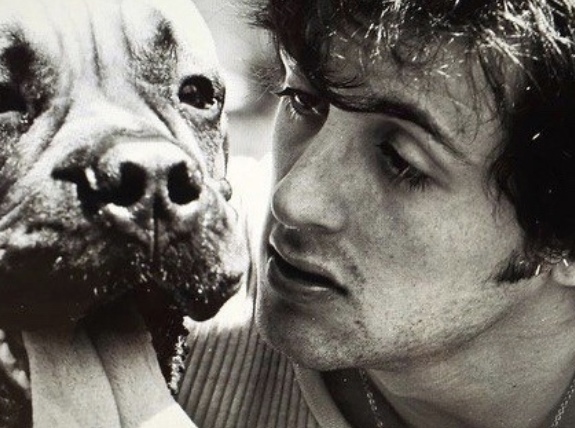 В 1971 году, когда Сильвестру Сталлоне было 26 лет, он столкнулся с..4