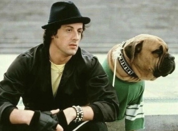 В 1971 году, когда Сильвестру Сталлоне было 26 лет, он столкнулся с..0