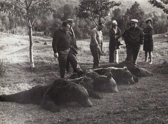 Николае Чаушеску на охоте, Румыния,1970-е..0