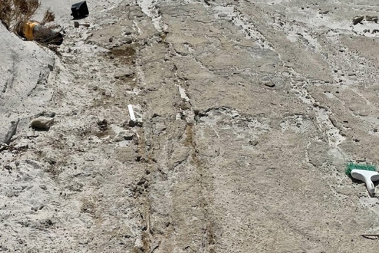 Опыт в логистике - 22 тысячи лет: ученые нашли следы перевозки..1