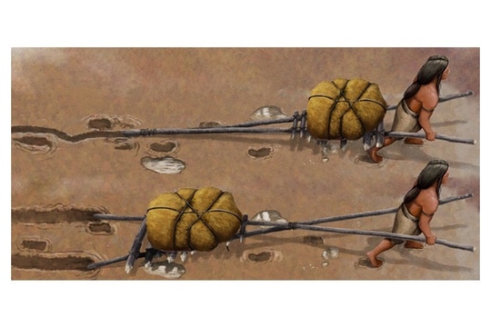 Опыт в логистике - 22 тысячи лет: ученые нашли следы перевозки..0