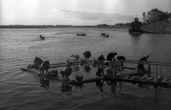 Полоскание белья в реке. СССР, 1950 - е. 

Автор фото : Борис..0