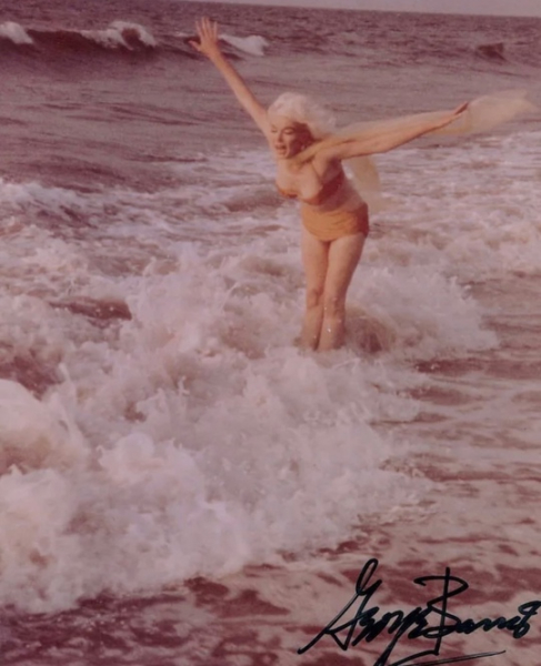 Последняя фотосессия Мэрилин Монро, июнь 1962..6