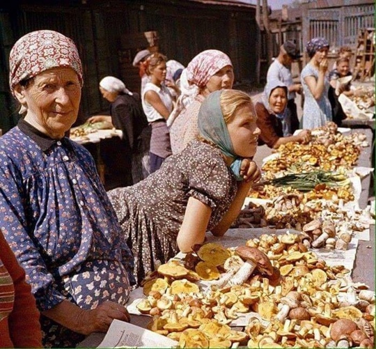 Время грибов. Даниловский рынок в Москве в 1960-е..0