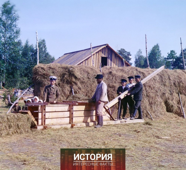 Брикетирование сена. Кондопога. Российская империя. 1916 г. Фото:..0