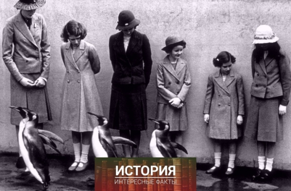 Британская королевская семья и королевские пингвины, Лондон, 1938..0