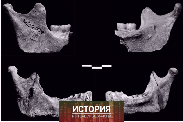 ДНК загадочного «человека из Оленьей пещеры» признали ошибкой...1