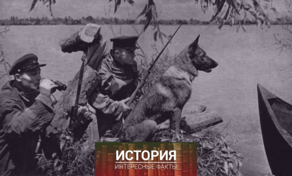 С праздником!!

Советские пограничники в секрете в районе поселка..0