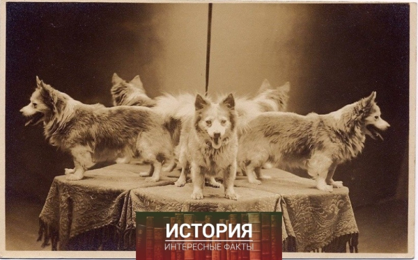Чудесная была мода , фотографироваться таким образом , что бы на..4
