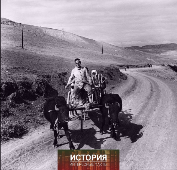 Фотографии из путешествия писателя Джона Стейнбека и..7