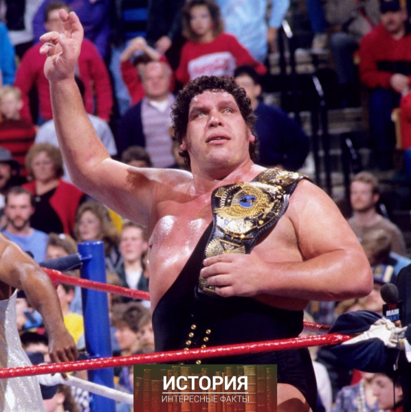 Андре Гигант выигрывает титул чемпиона WWF в тяжёлом весе, победив..0
