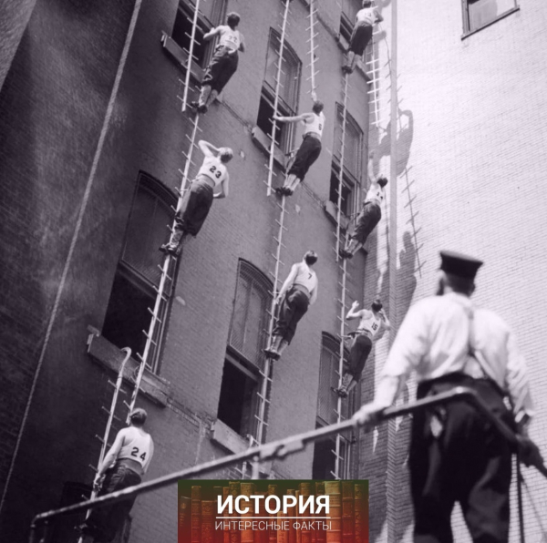 Пожарные-стажеры учатся взбираться на стену здания в учебном..0
