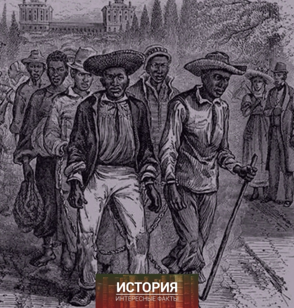 В США провели крупное ДНК-исследование, целью которого стало..0