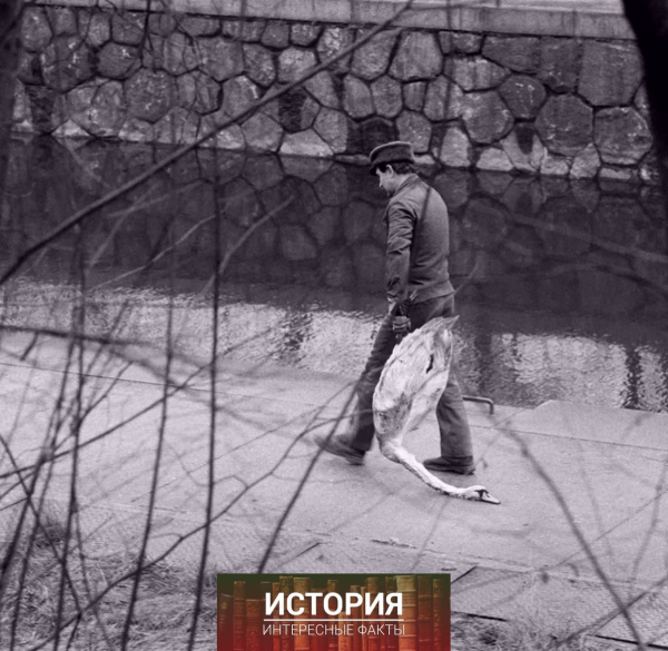 Жизнь в Восточной Германии, 1970-е и 1980-е..3