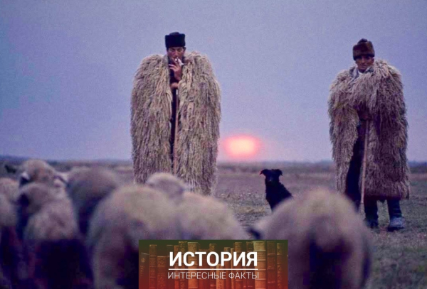 Пастухи, Хортобадьская равнина на востоке Венгрии, 1971..0