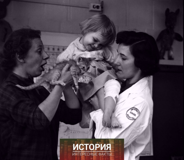 Зоотерапия для детей в медицинском центре Мичиганского..2