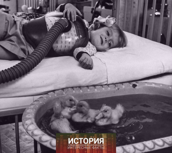 Зоотерапия для детей в медицинском центре Мичиганского..0