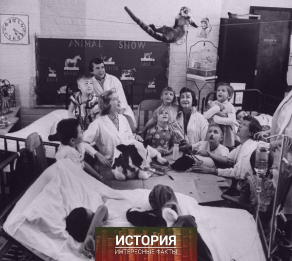Зоотерапия для детей в медицинском центре Мичиганского..1