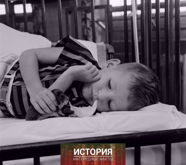 Зоотерапия для детей в медицинском центре Мичиганского..7
