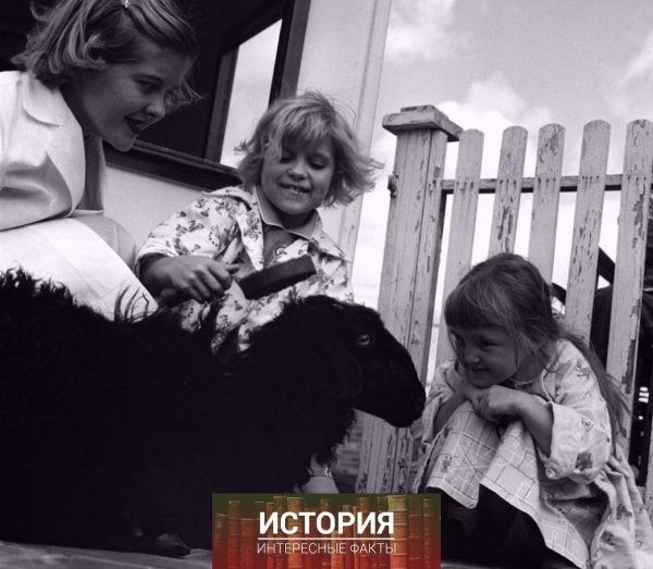 Зоотерапия для детей в медицинском центре Мичиганского..8