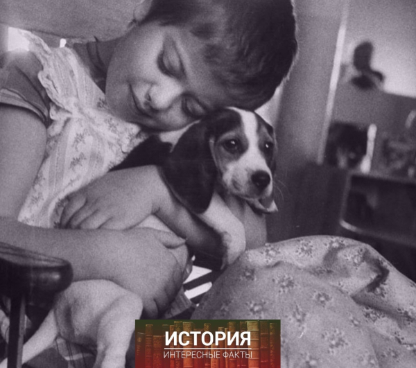 Зоотерапия для детей в медицинском центре Мичиганского..5