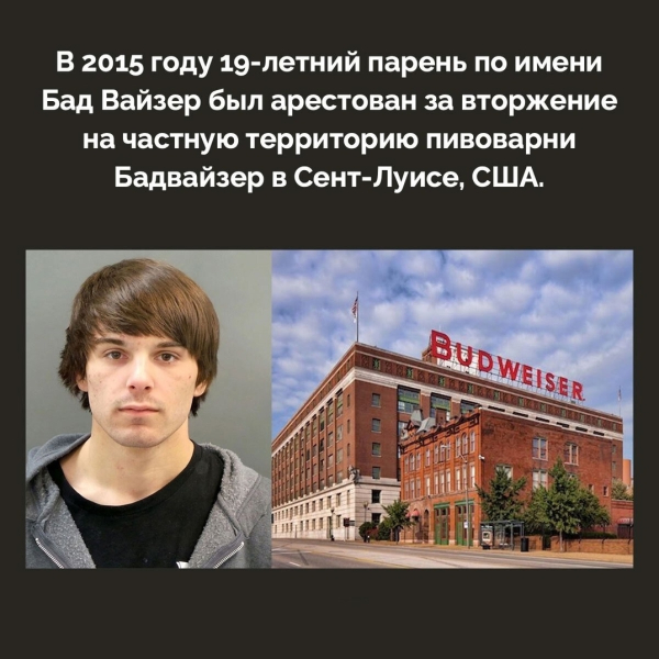 Подборка познавательных фактов..6