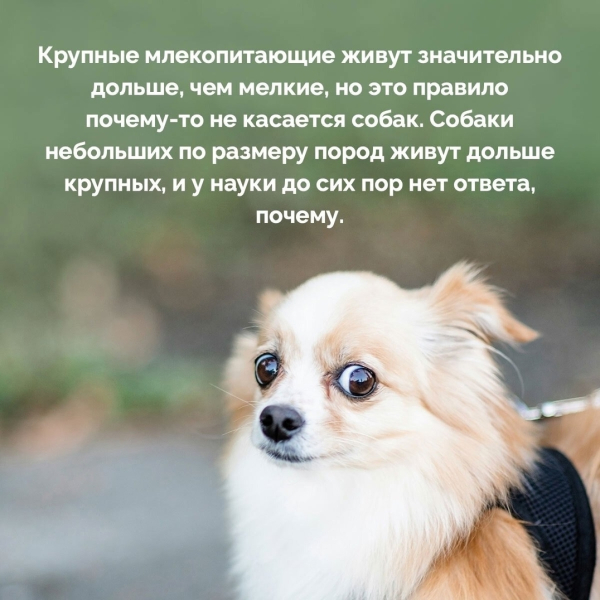 Подборка познавательных фактов..7