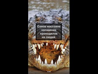 Самое массовое нападение крокодилов на людей произошло в..0