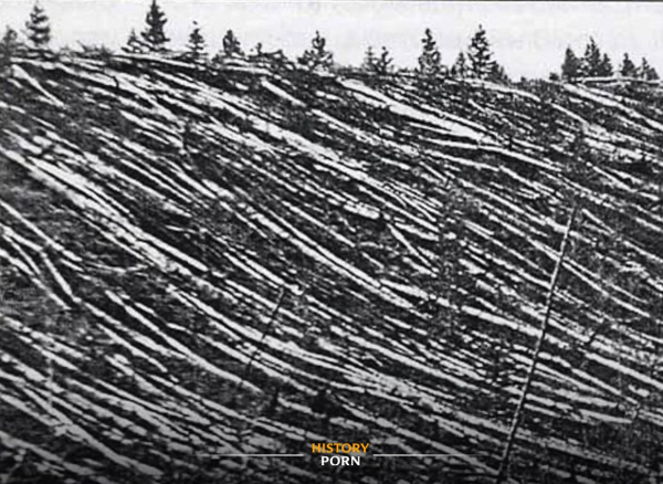 Сибирь, 1928 год. Тогда над глухой тайгой прогремел мощный взрыв,..0