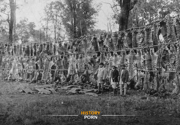 В 1911 году король Георг V совершил десятидневную охотничью..0