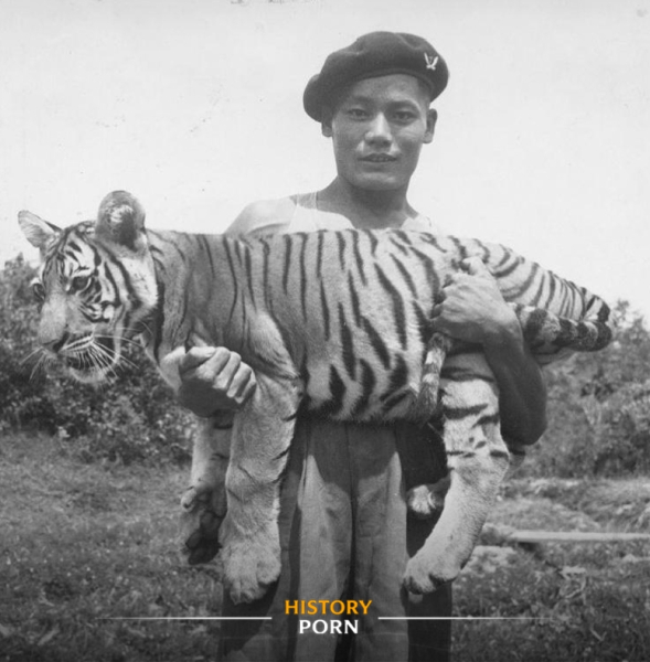 Непал, начало 1950-х годов. История, которая звучит как..0