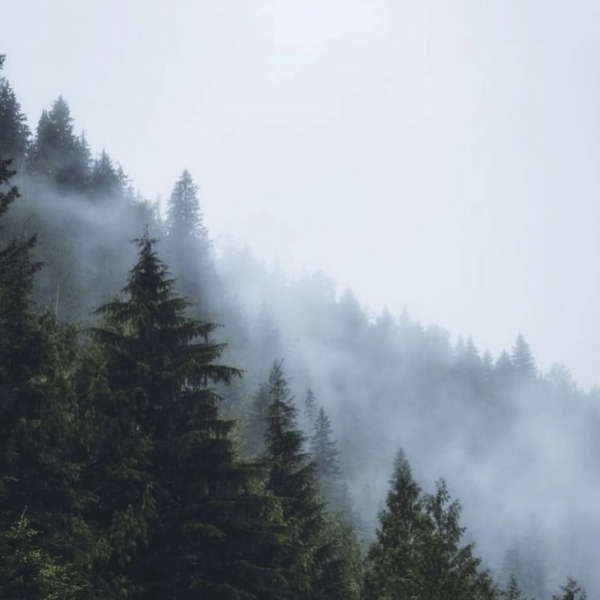 Плейлист для тех, кто хочет побыть наедине с собой, погрузиться в..0