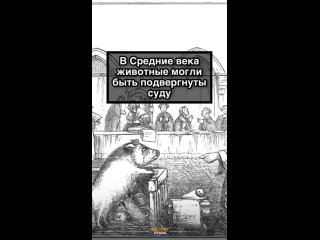 Процессы были формально серьёзными: назначался судья, свидетели,..0