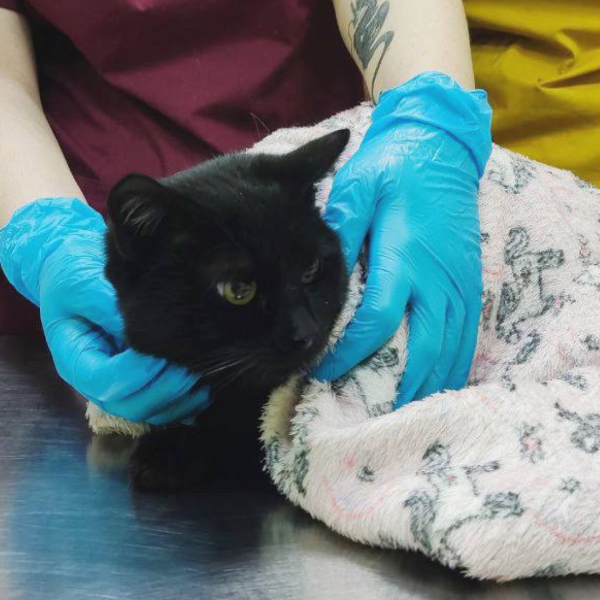 «Больной нам не нужен...»
Принца сдали в приют как бракованную..1