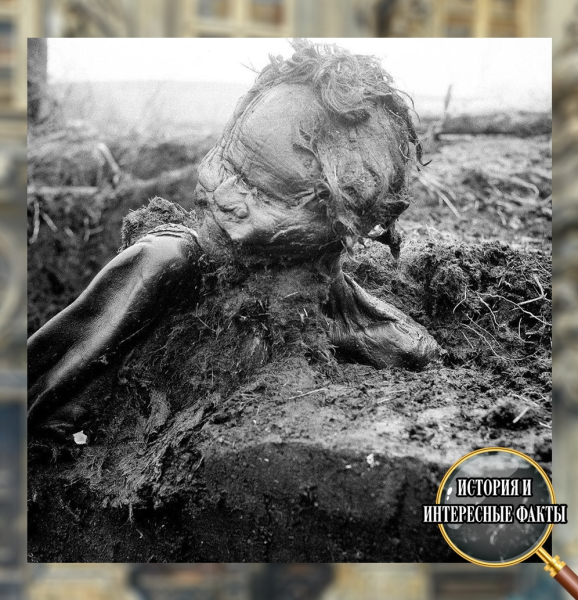 Человек из Гроубалле — идеальный свидетель древности..0