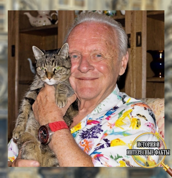 «Всю свою жизнь я искал истину — смысл жизни.
И единственное, о..0