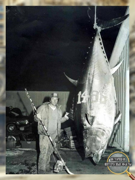 🎣🐟 Рекорд, который держится уже более 45 лет

В 1979 году канадский0
