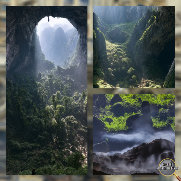 🌏🏞 Самая большая пещера Земли, где есть собственные облака, лес0