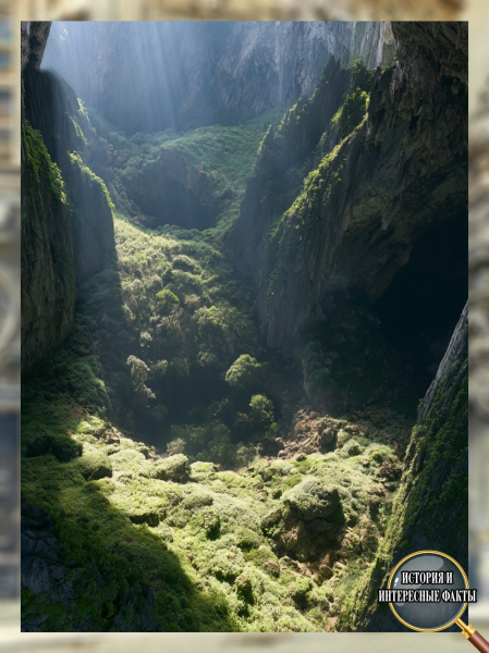 🌏🏞 Самая большая пещера Земли, где есть собственные облака, лес2